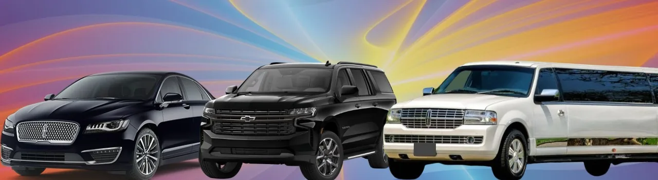 Langley Limo Rental Options